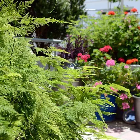 Hotel apartamentowy Marianna