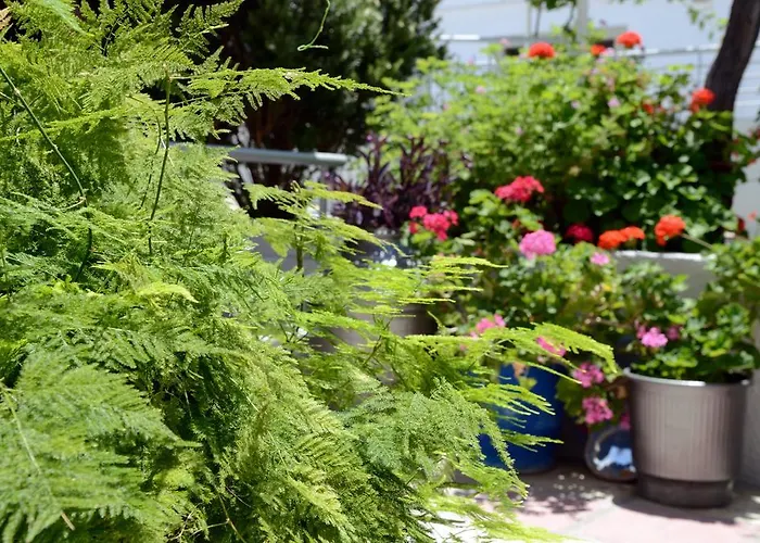 מלון דירות Marianna